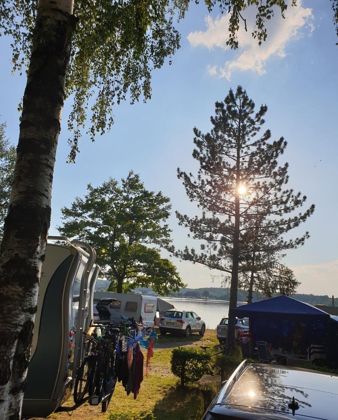Sonne scheint durch Baum am Campingplatz - Camping am See Bayern